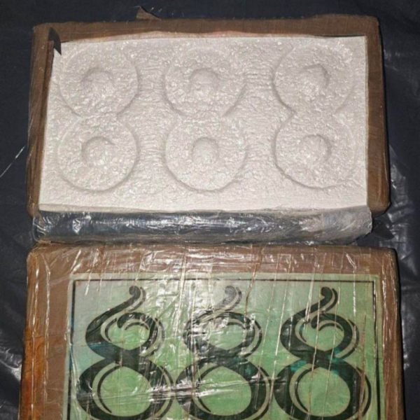 Bolivian coca leaf dried botanical sample 1 gram (research use only)