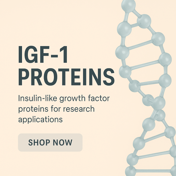 IGF-1 Proteins